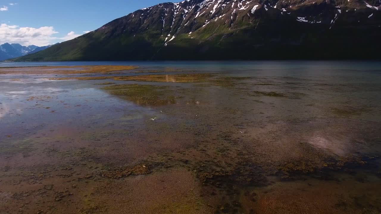 Aerial of seagulls in a Fjord in northern Norway