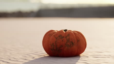 Calabaza-De-Halloween-En-Las-Dunas-De-La-Playa