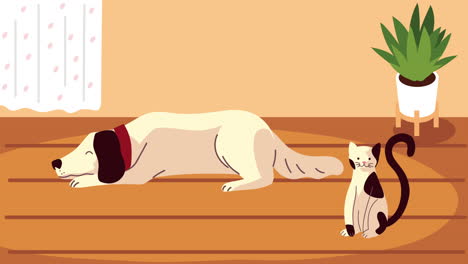 cute little dog liying and cat in floor pets