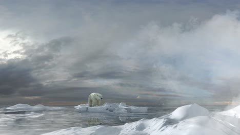 polar bear on melting ice