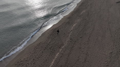 aerial birdseye of woman and dog walking alone on beach at sunrise