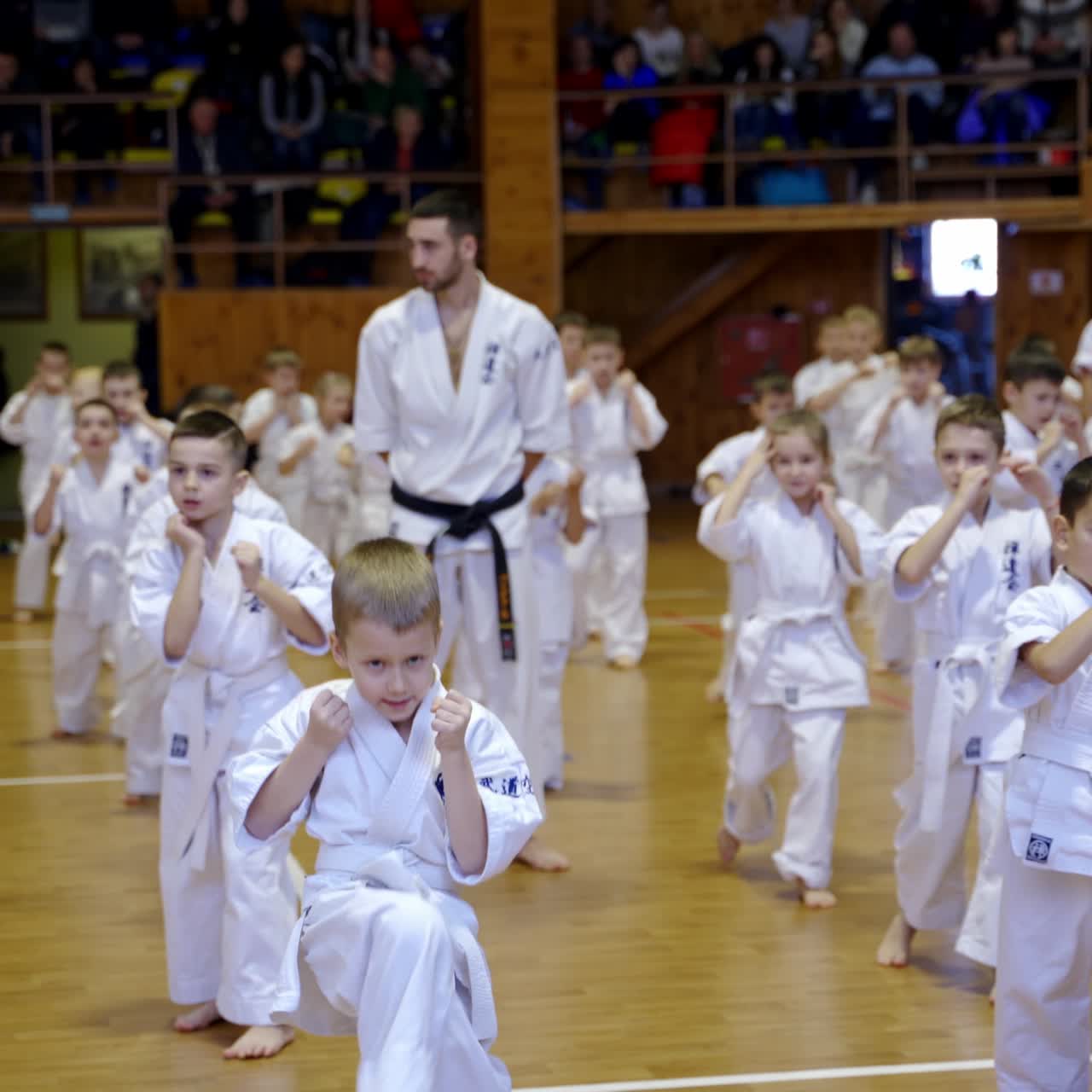 Karate training for young kids in the spacious gym. Boys and girls practice kicks under trainers' supervision. Audience at backdrop in blur