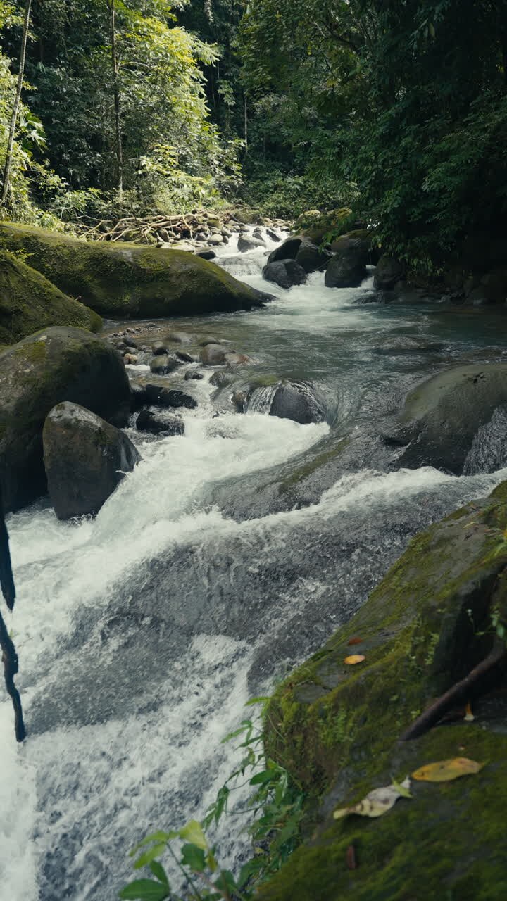 A scenic river flowing through a lush forest