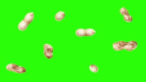 peanuts animation group on green screen chroma key, graphic source elements
