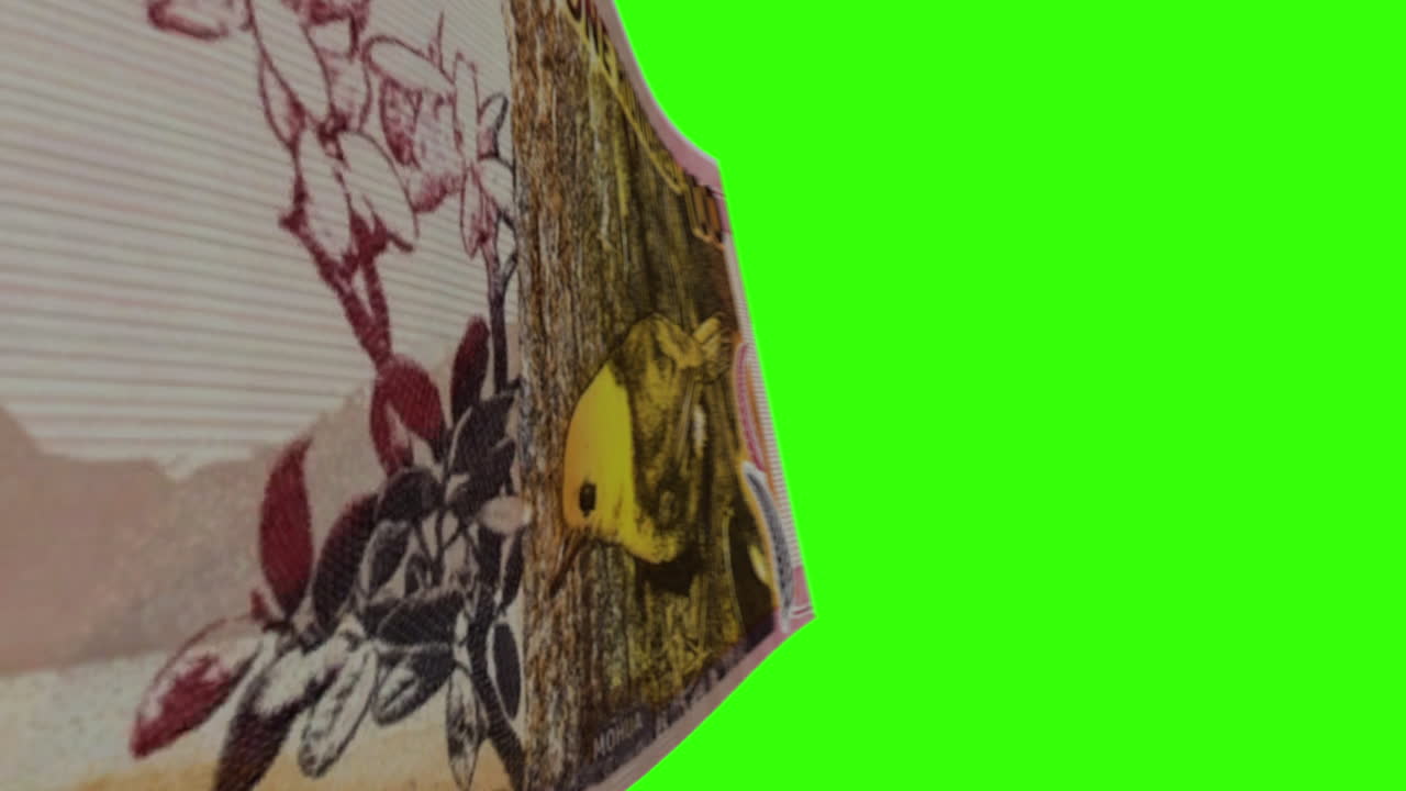 New Zealand 100 Dollar Banknote with Green Screen Background