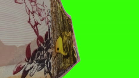 new zealand 100 dollar banknote with green screen background