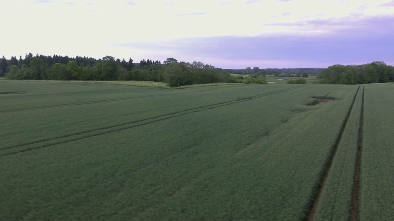 Grüne landwirtschaftliche Felder und ein gewundener Fluss. Luftaufnahme Schwenk nach links Sockel nach oben