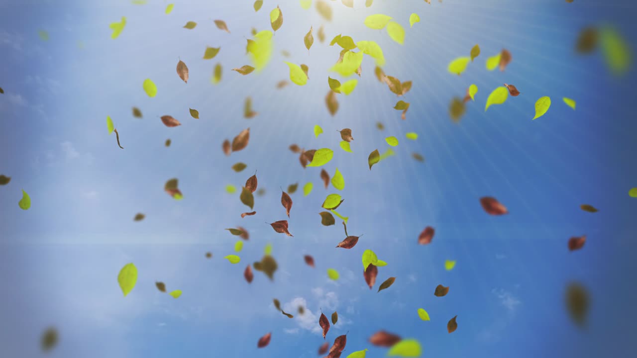 떨어지는 잎의 애니메이션 루프 가을