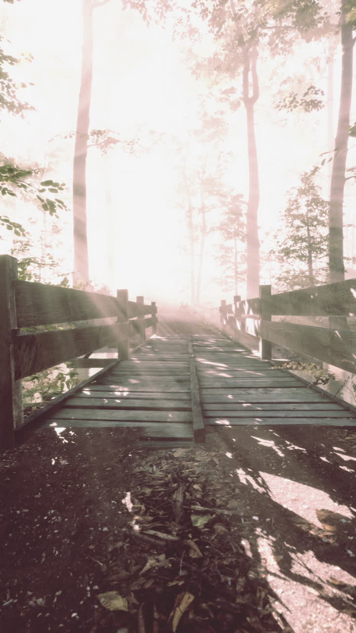 흐린 신비로운 숲으로 강을 가로지르는 목조 다리