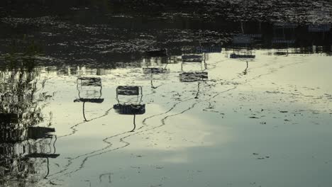 Reflection-Of-Sky-Lift-On-The-Lake-Water-At-The-Seoul-Grand-Park-In-Gwacheon-City,-Gyeonggi-do,-South-Korea---high-angle-shot