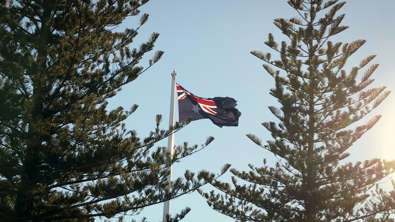 bandera australiana ondeando en el viento entre árboles altos con un sol naranja brillante, toowoomba queensland