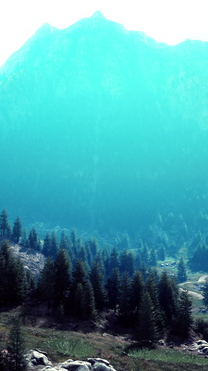 cordillera con árboles verdes