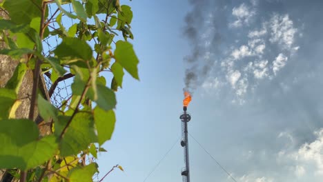 Burning-Gas-flare,-giant-flame-release-smokestack,-wall-with-polluted-nature