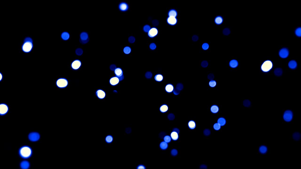 크리스마스 라이트 루프