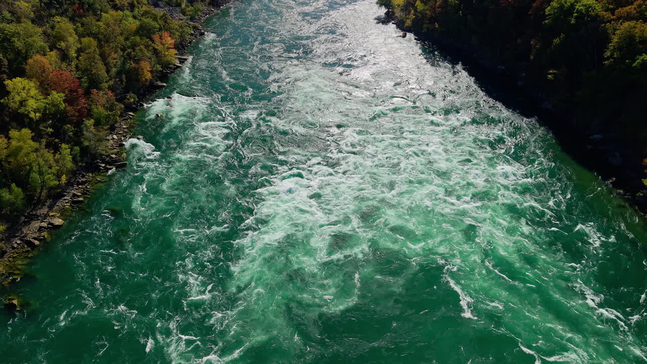 Veduta aerea delle potenti rapide del fiume Niagara con acqua turchese e la riva autunnale