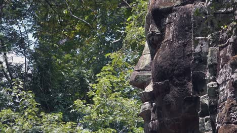 zoom out from large stone face in the jungles surrounding angkor wat