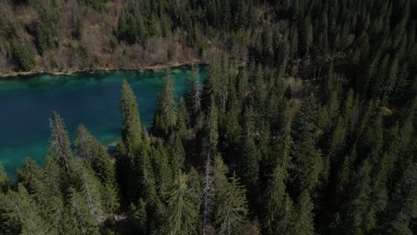 An-aerial-view-reveals-the-verdant-greenery-and-vivid-waters-of-Cresta-See-in-Graubünden,-Switzerland,-illustrating-the-essence-of-natural-beauty-and-outdoor-adventure