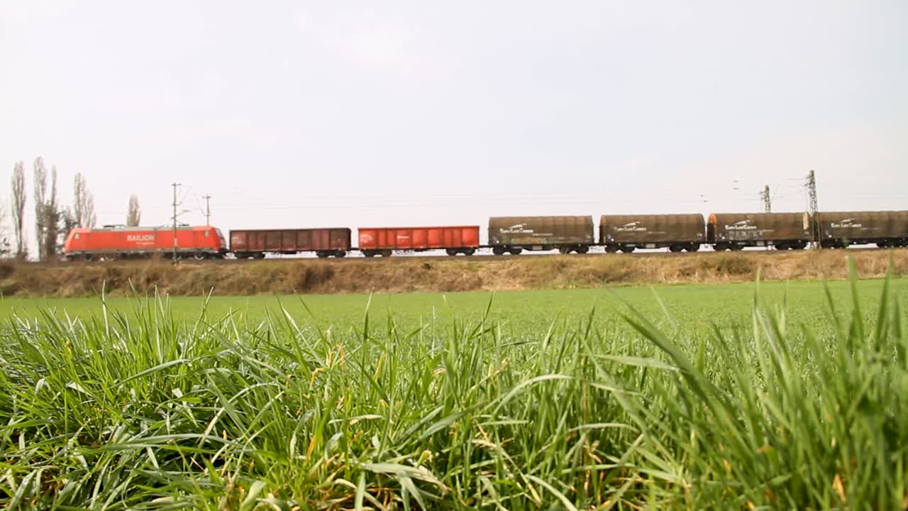 Freight train moves through a grassy field on a clear day