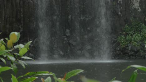 water cascading down at millaa millaa falls in queensland, australia - wide shot