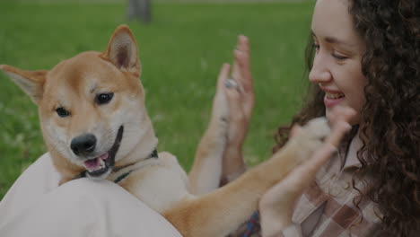 woman and shiba inu dog playing in a park