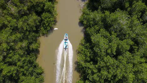 flyover mangrove canal chasing fast charter transport boat leaving wake under the canopy in oaxaca mexico