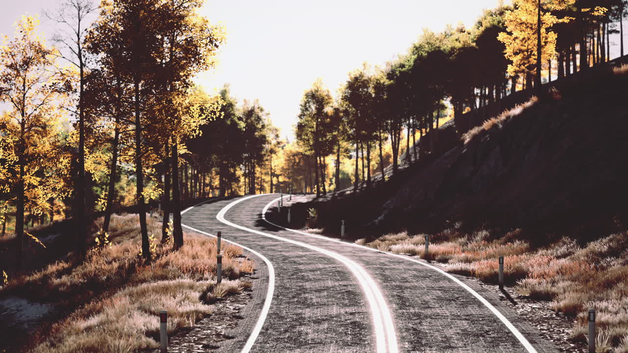 가을 에 숲 을 가로질러 휘어지는 아스팔트 도로