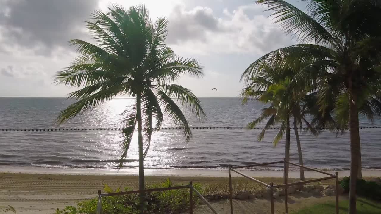 vista lateral del océano del amanecer y un tractor que pasa eliminando algas