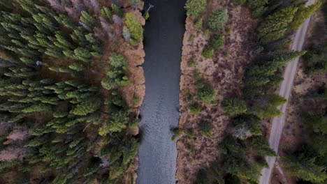 Fliegen-über-Einen-Bach-In-Alberta,-Kanada