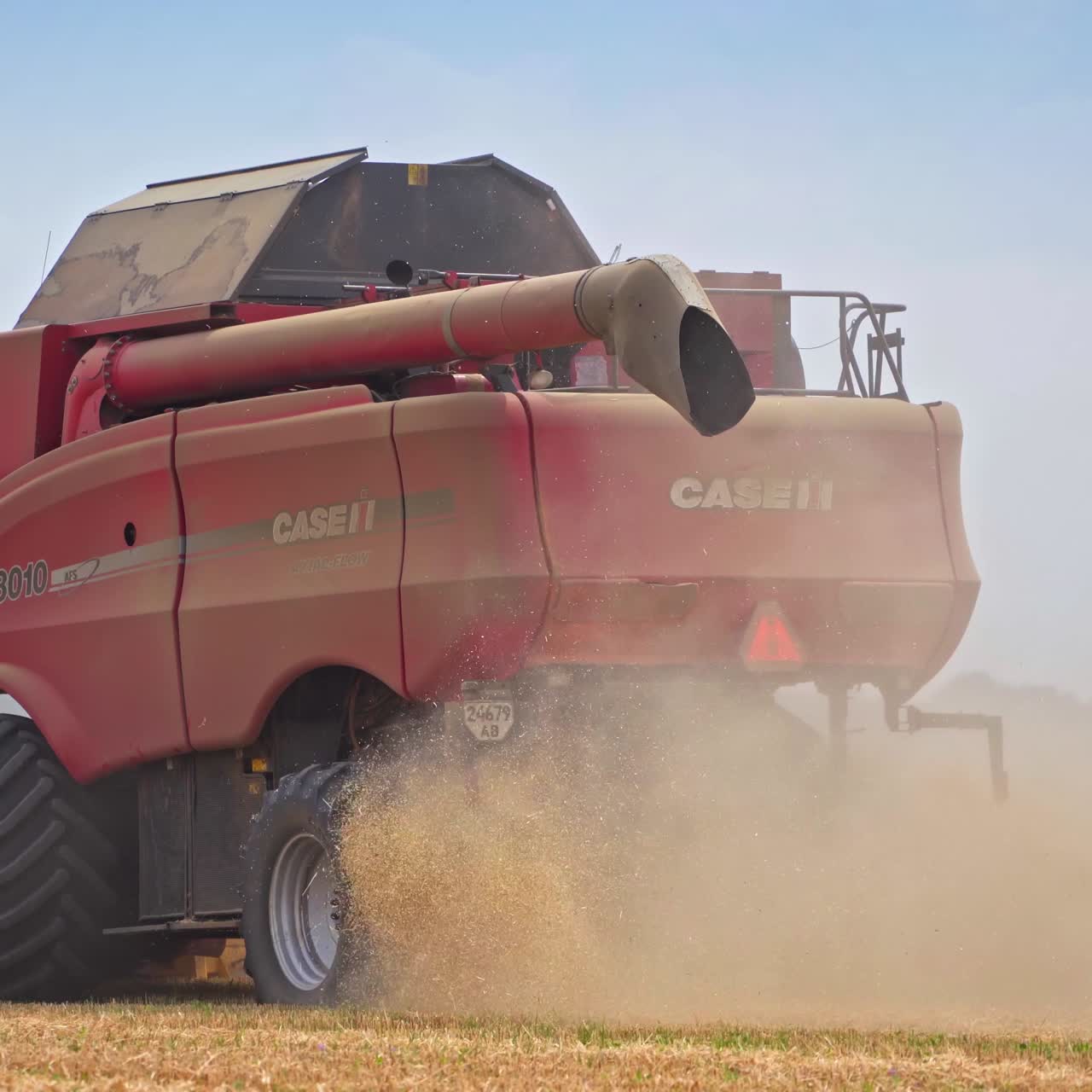 Harvesting wheat grain on a summer day. Combine harvesting, collects ripe wheat grains