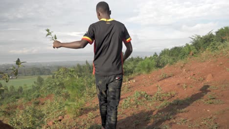 a tracking shot of an african man walking in the morning sun along a bush track and past termite mounds