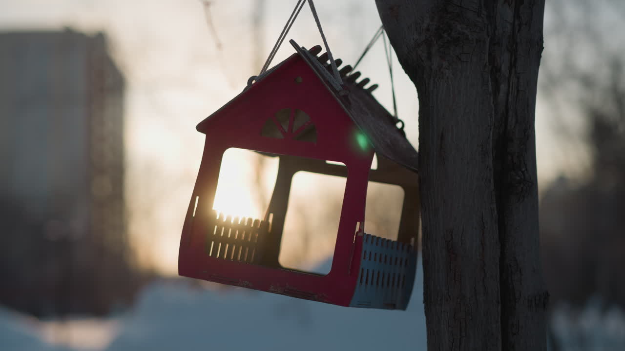 Close up of miniature house suspended from tree branch with soft sunlight shining through window cutouts, creating warm backlight and green flare against blurred winter cityscape in peaceful setting