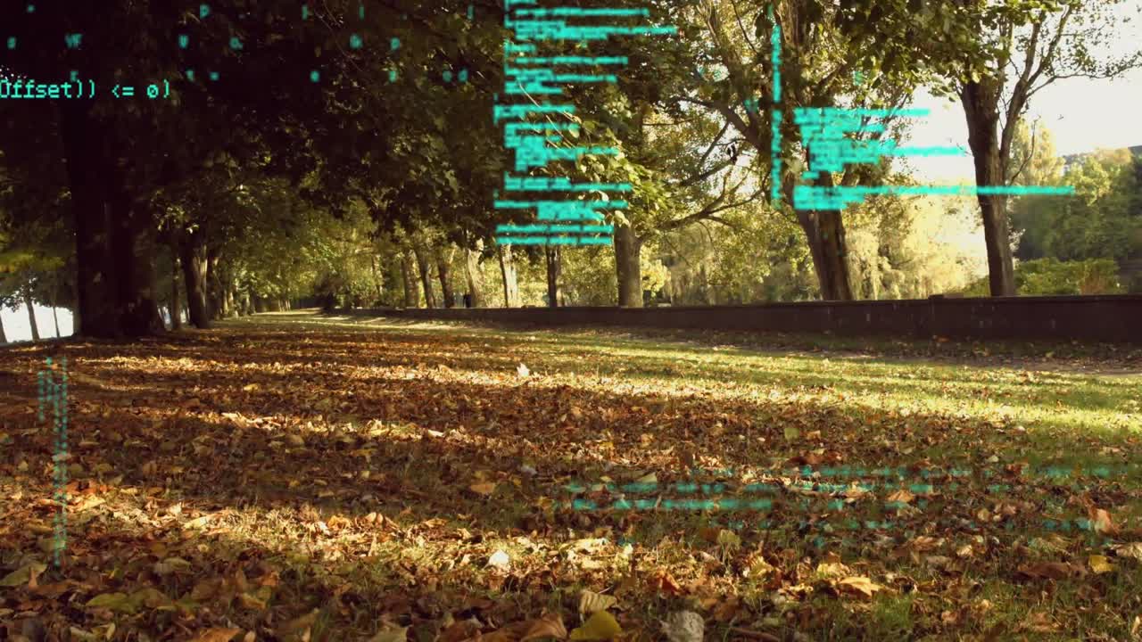 программные коды в парке