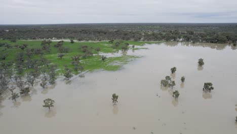 raods submerged under floodwaters in western new south wales, australia - location menindee