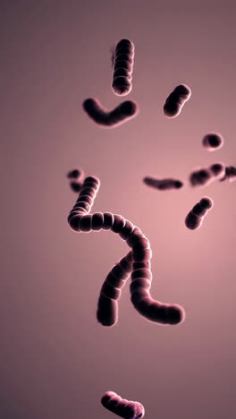ilustración en 3d de las bacterias
