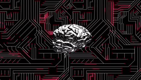 brain and digital circuit