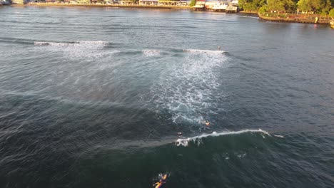 surfers in maui catching waves