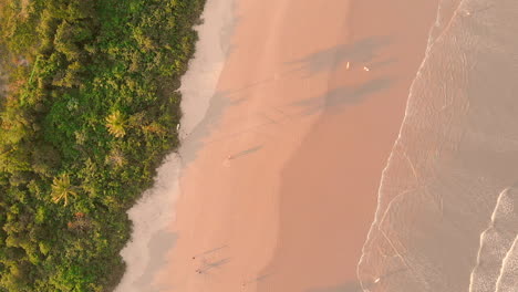 Aerial-footage-of-tropical-beach-with-waves-top-view