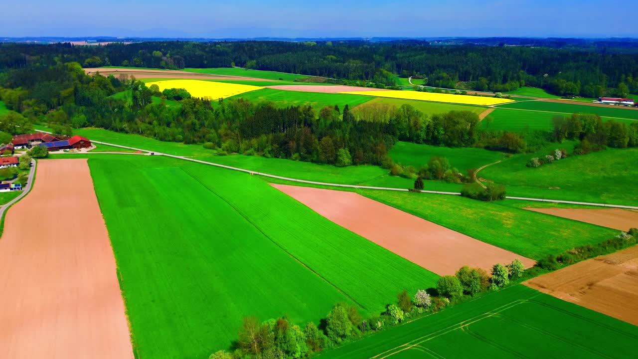 Widok z lotu ptaka na jaskrawożółte pola kwiatów i zielone tereny rolnicze z zalesionymi obrzeżami.