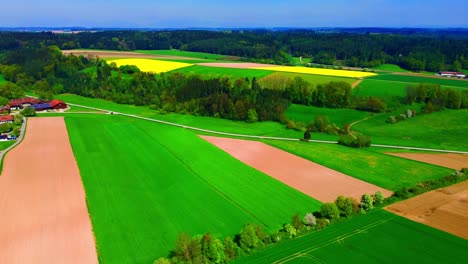 Vista-Aérea-De-Vibrantes-Campos-De-Flores-Amarillas-Y-Tierras-De-Cultivo-Verdes-Con-Bordes-Boscosos