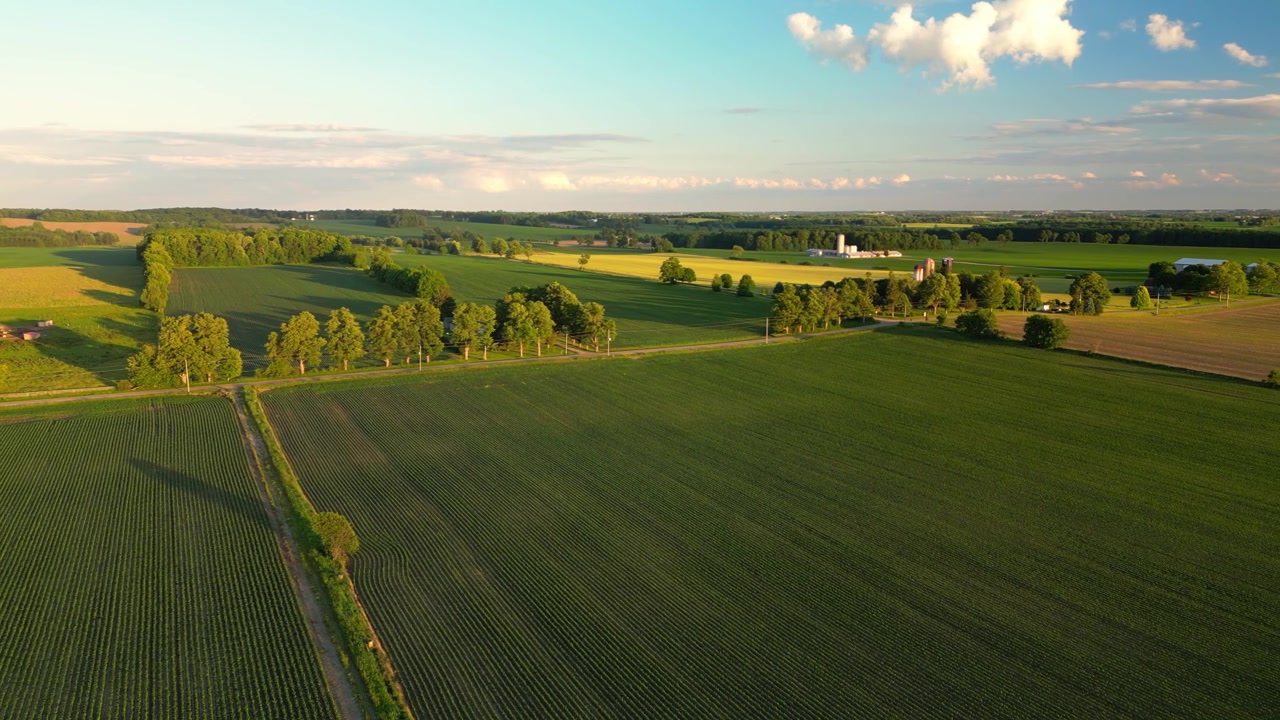 Ontario farmlands and fields under a summer sky, growing crops, farming land in Canada