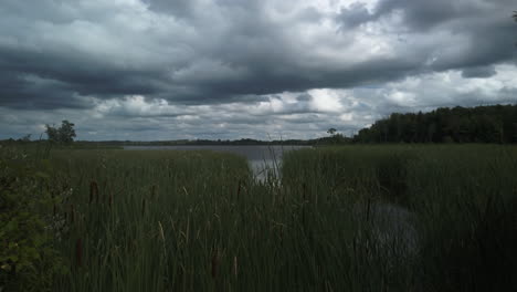 Wide-shot-of-Mountsberg-Reservoir-and-surrounding-marshes