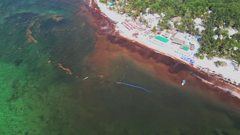 seaweed shorelines, tropical marine environment, xpu-ha beach resort