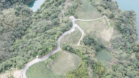 Ascending-Spectacular-View-of-Feitsui-Reservoir,-Emerald-lake-is-Second-largest-water-reservoir-dam-water-supply-in-Taiwan,-leading-to-mountainous-view-with-quality-tea-plantation-at-the-foreground