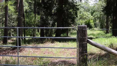 sequence of a slingshot firing a projectile outdoors