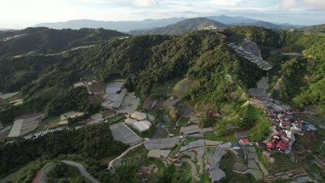 vista general del paisaje del distrito de brinchang dentro del área de cameron highlands de malasia
