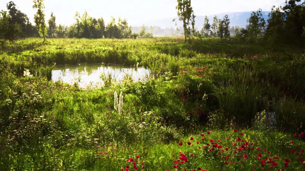 Vibrant wetland scene illuminated by warm sunset reflections and blooms