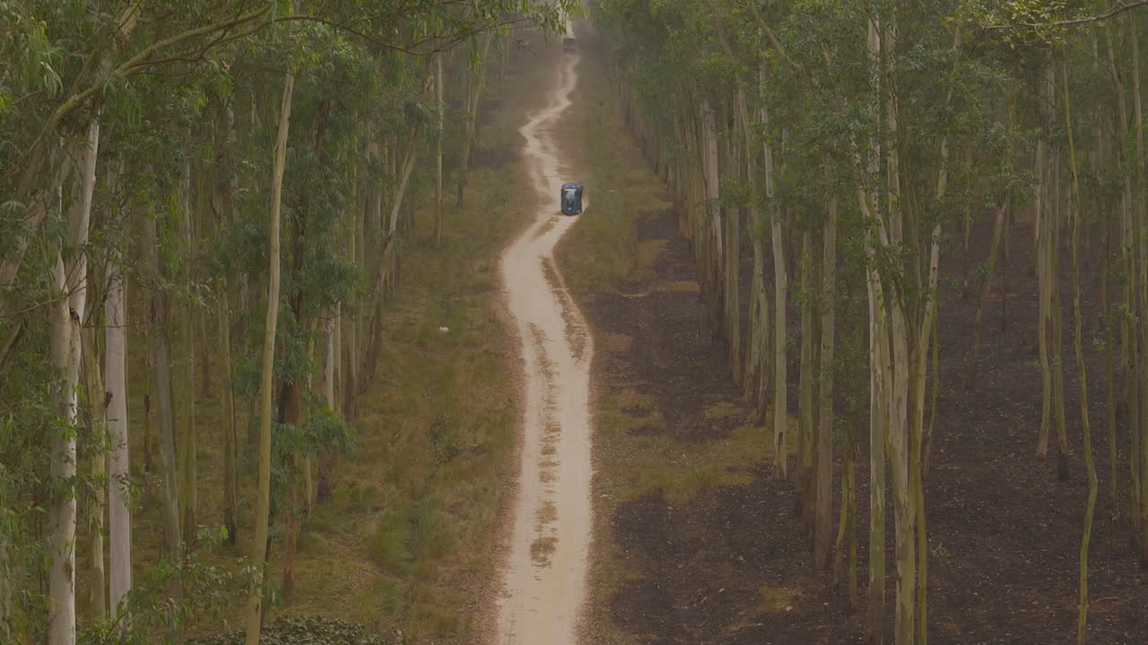Local vehicle city Safari travels inside the forest of Nepal in Eastern Terai region