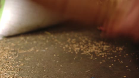 close up of hands sifting raw natural organic biologic rice healthy food