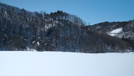 Campos-Cubiertos-De-Nieve-Y-Colinas-En-Un-Día-Claro-Y-Soleado-En-Daegwallyeong-Sky-Ranch---Panorámica-Hacia-La-Derecha