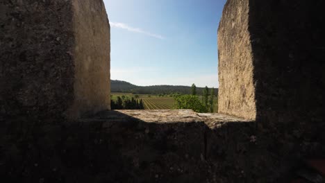 fotografía aérea de un jardín de una villa con viñedos en nimes, francia